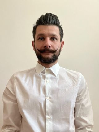 Mihailescu Vlad