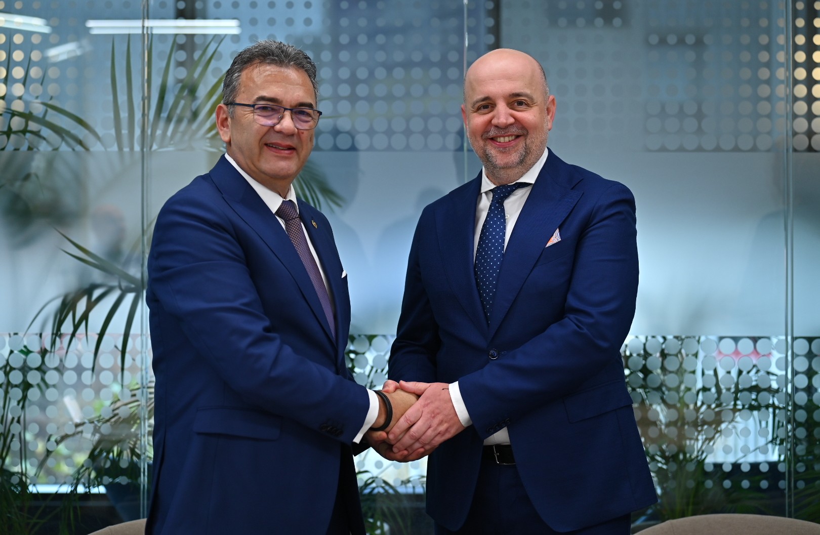 useful description of image if informative and not decoration only.